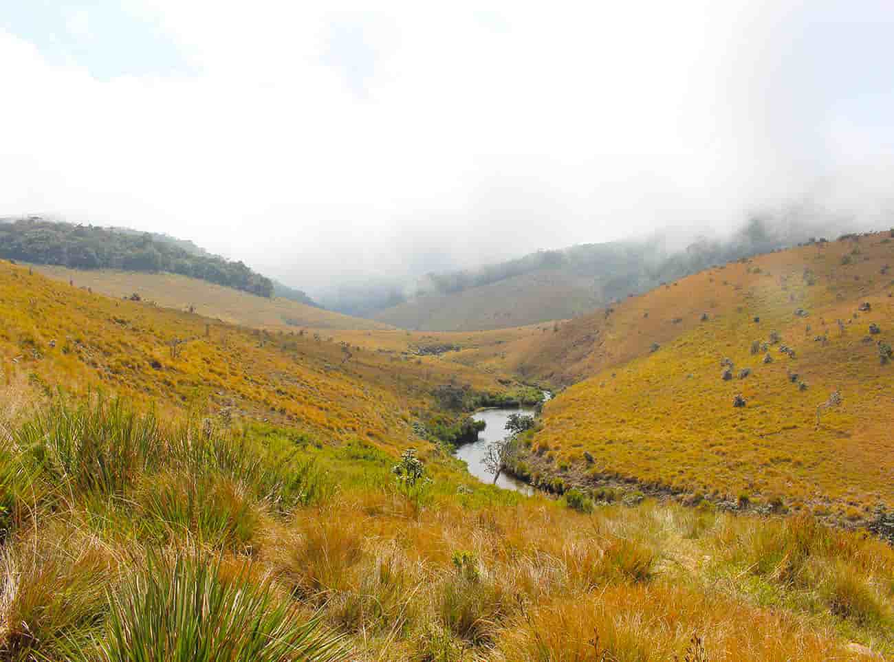 Horton Plains