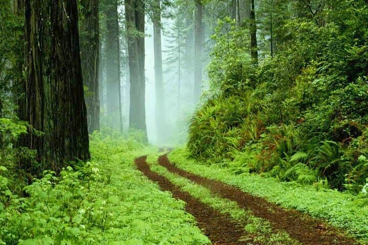 Sri Lanka’s Best Destinations