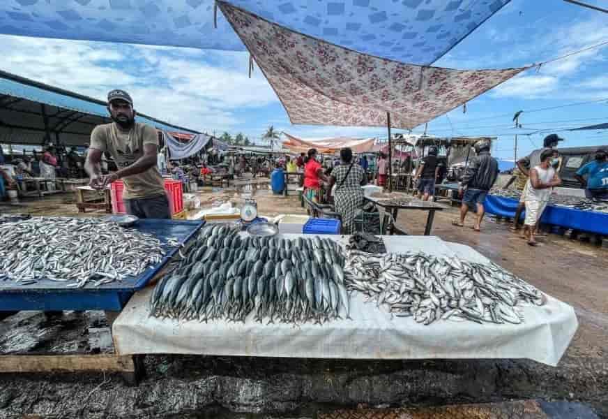Lellama Fishing Market